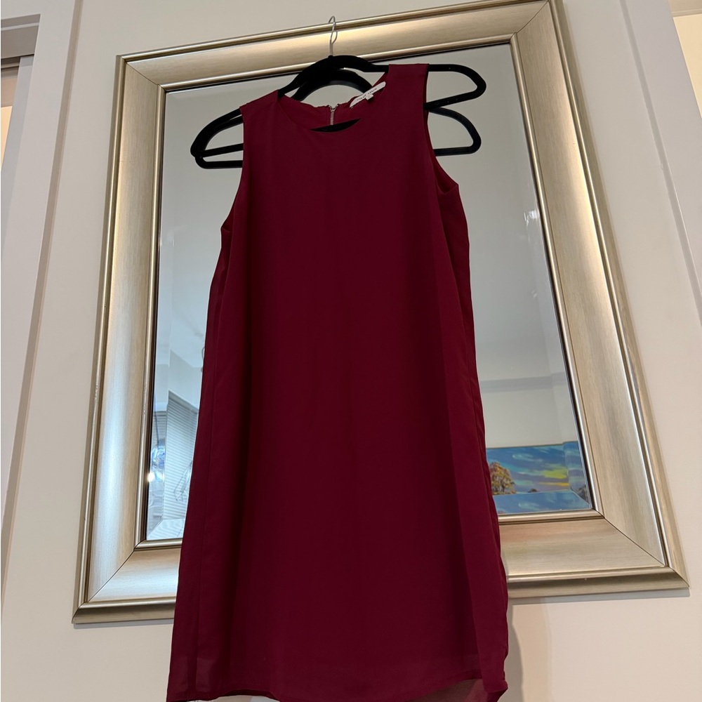 Naked Zebra Rich Burgundy Mini Dress